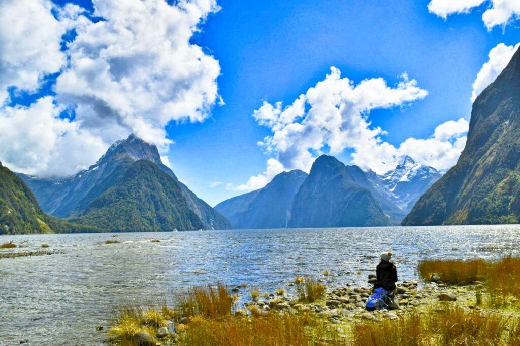 10 Free & Cheap Things to Do in Milford Sound