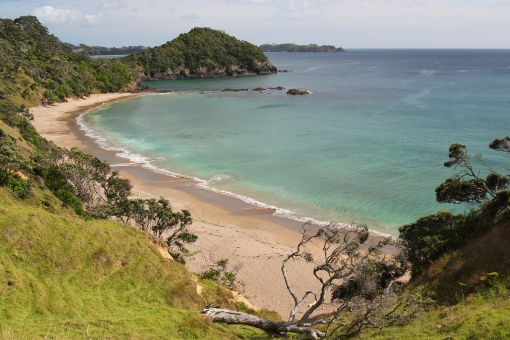 10 Best Beaches in Whangarei