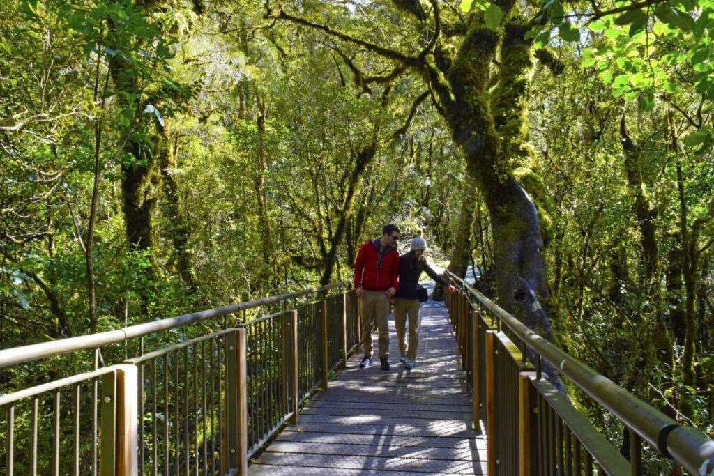 5 Romantic Activities in Milford Sound for Couples