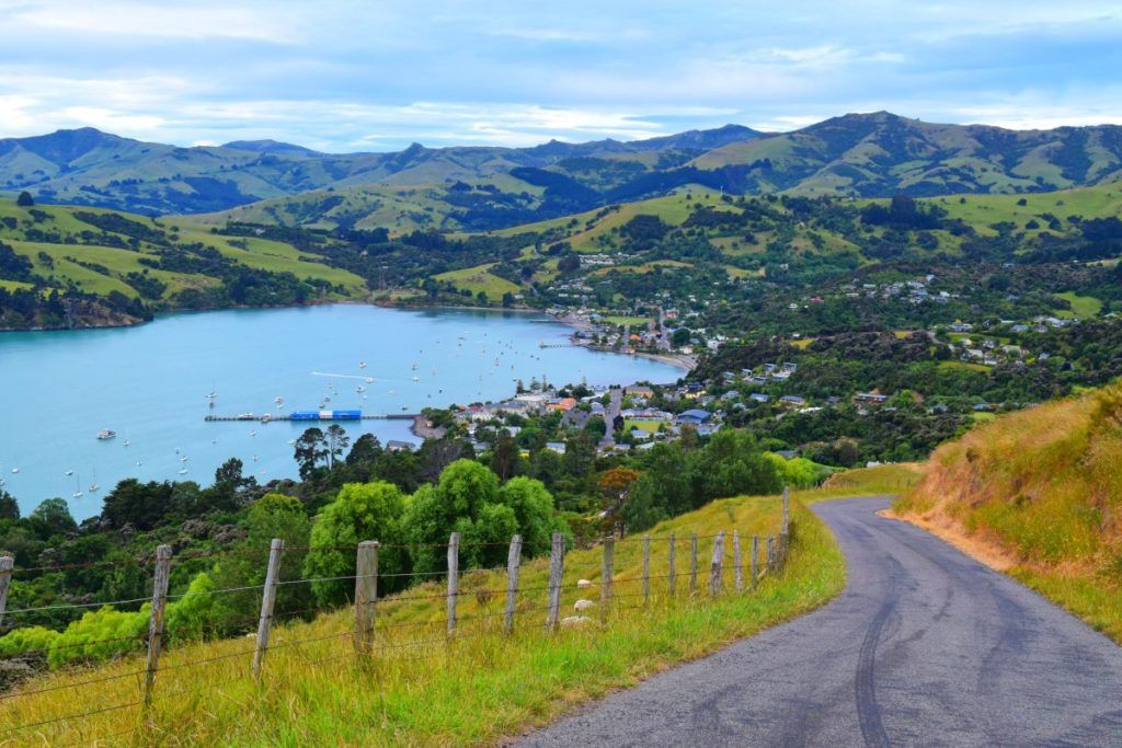 6 Luxury Activities in Akaroa