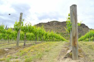 10 Free & Cheap Things to Do in Alexandra & Clyde