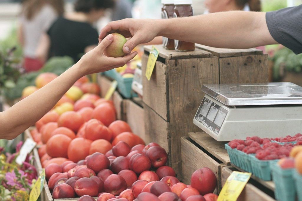 7 Things to Do in Hanmer Springs for Foodies