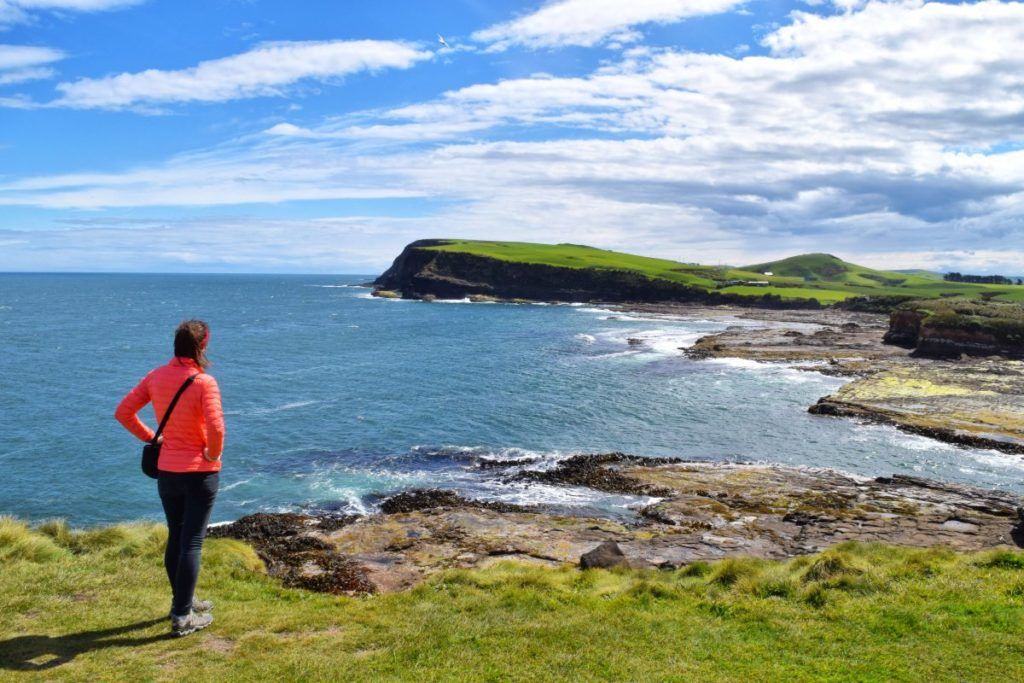 The Complete Guide to The Catlins