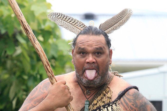 10 Whangarei Must-Dos