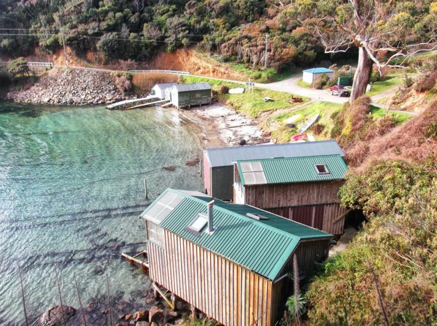 The Travel Guide to Stewart Island on a Budget