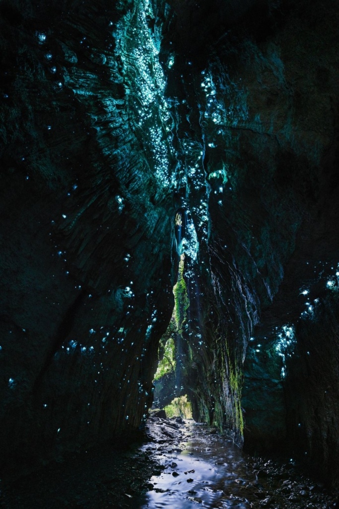 14 Best Things to Do in the Pohangina Valley