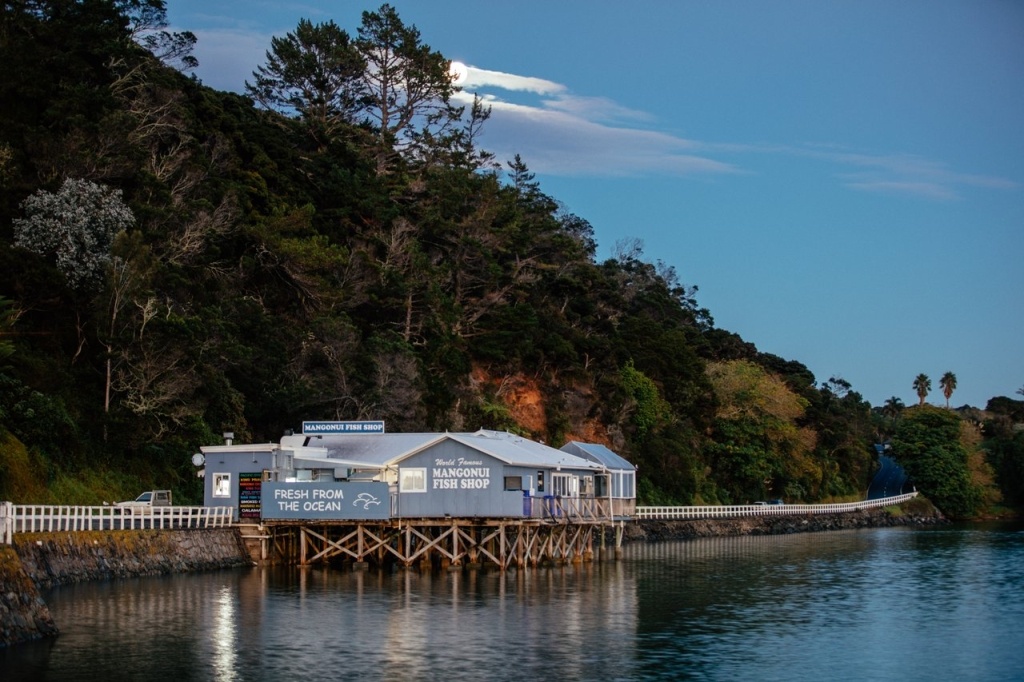 10 Best Things to Do in Doubtless Bay
