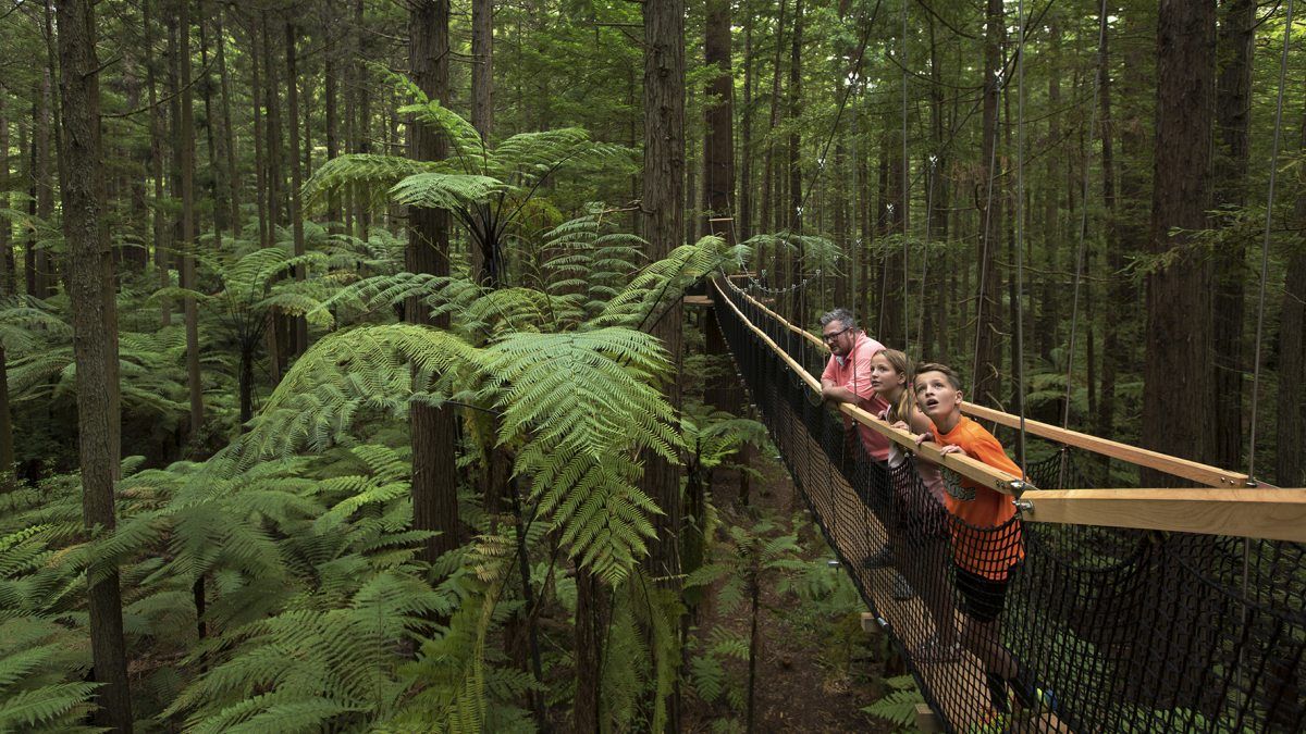 New Zealand Family Itinerary: Three Weeks / 21 Days
