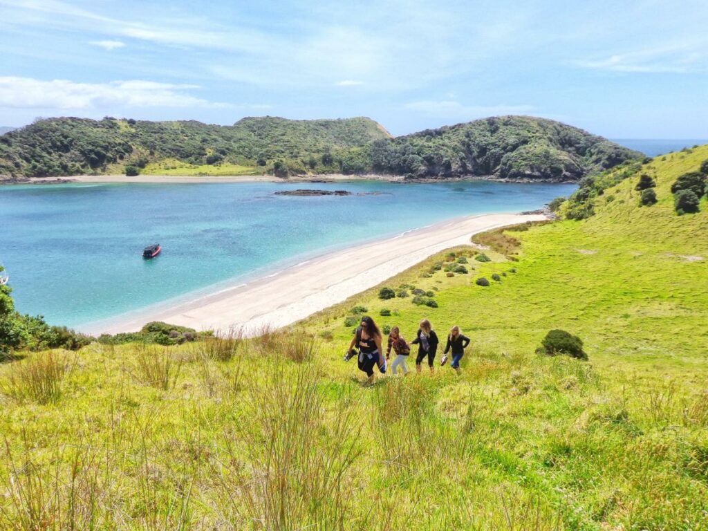 The Best Day Trips from Whangarei