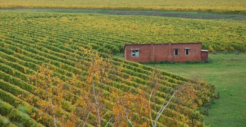 New Zealand Luxury Itinerary: Two Weeks / 14 Days