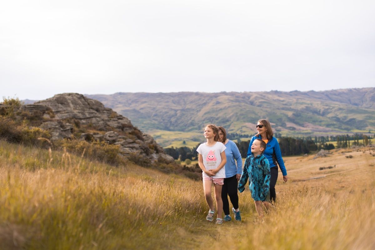The Best Day Trips from Dunedin