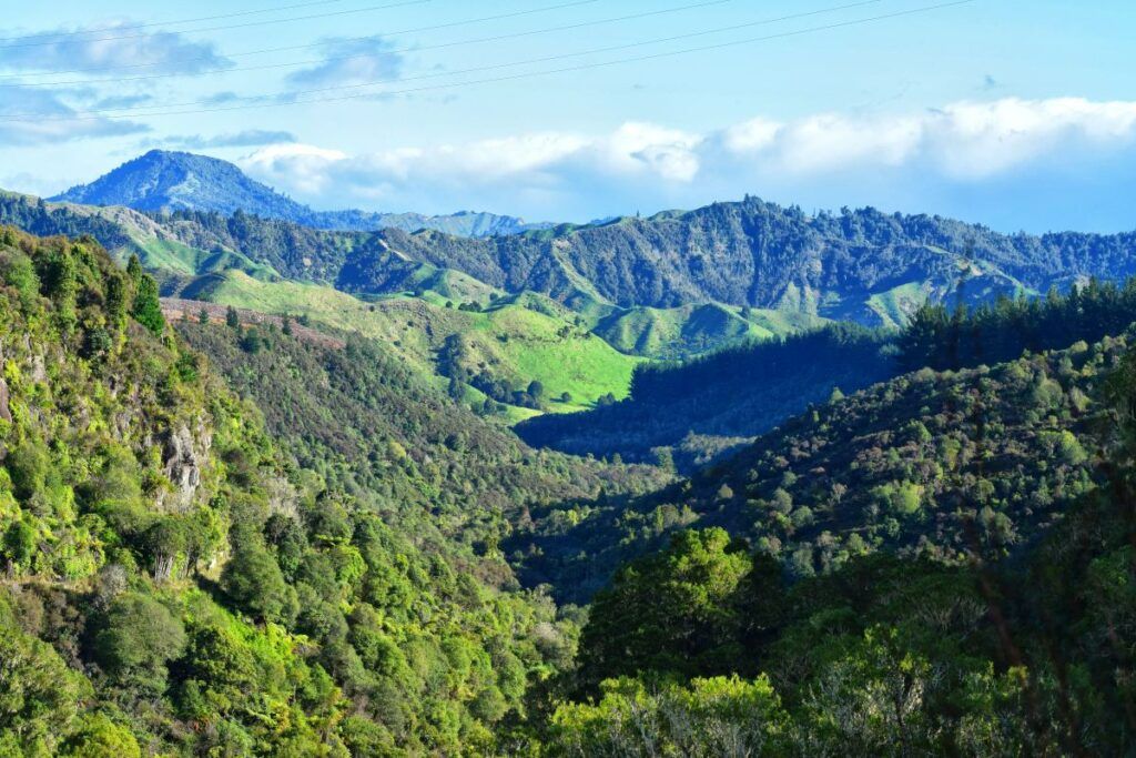 The Best Day Trips from Taupo