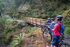 The Best Day Trips from Greymouth