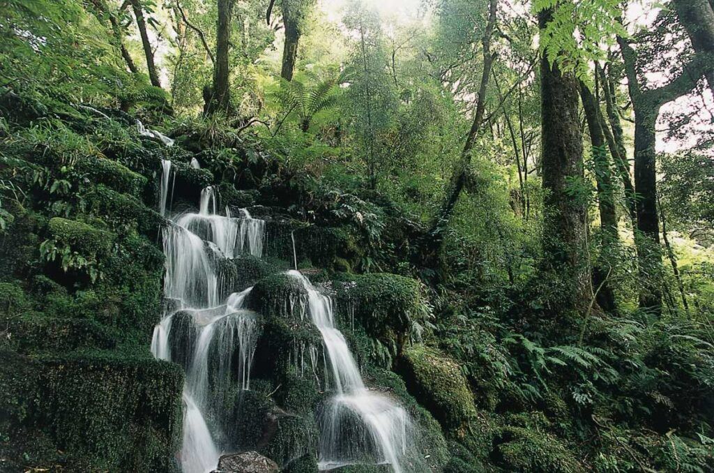 The Best Day Trips from Rotorua