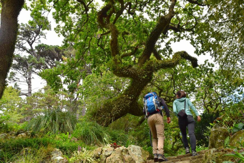31 Best Free Things to Do on the North Island