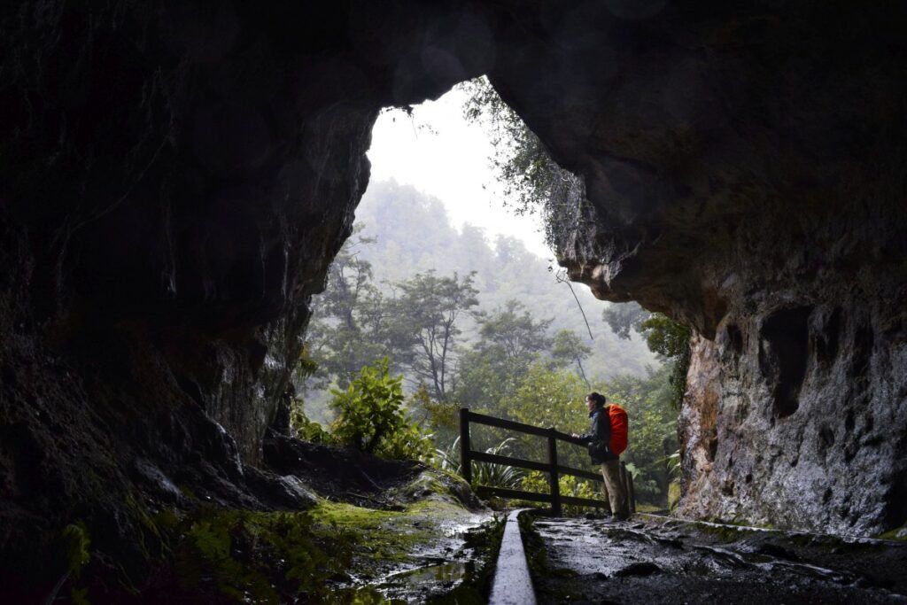 31 Best Free Things to Do on the South Island