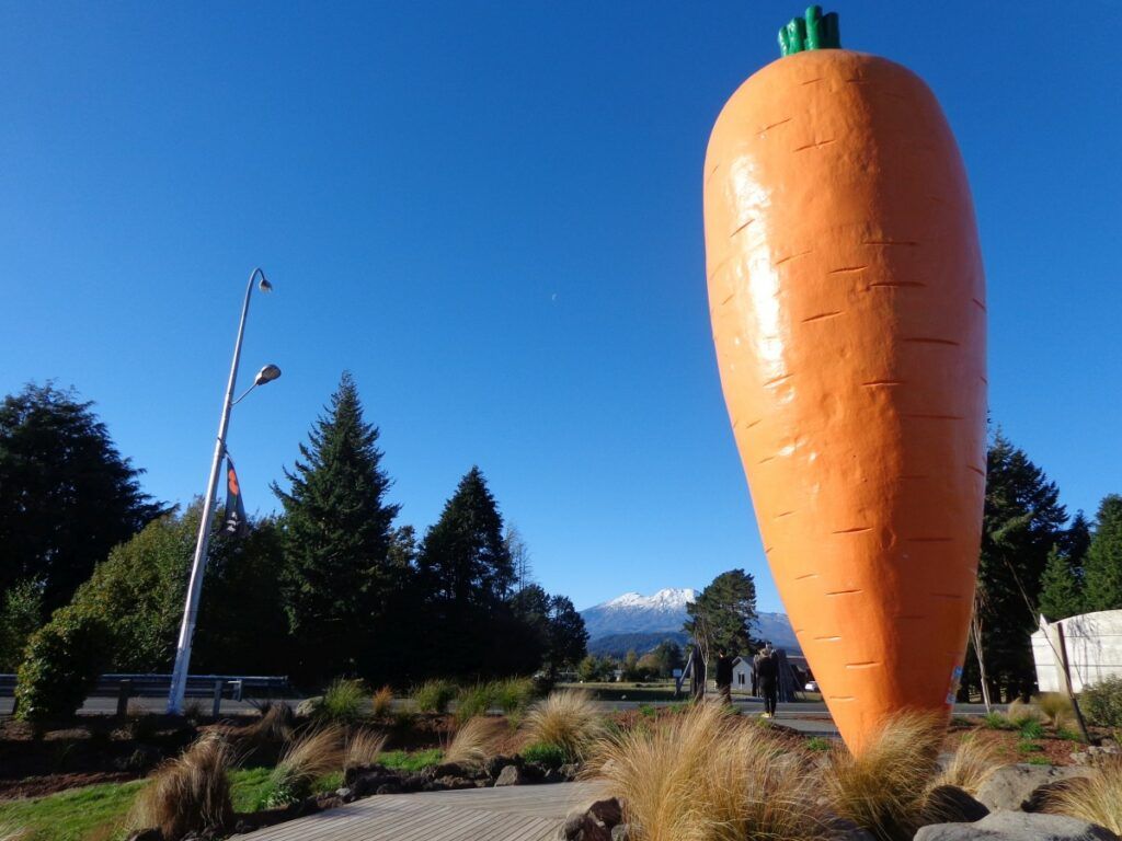 31 Best Free Things to Do on the North Island