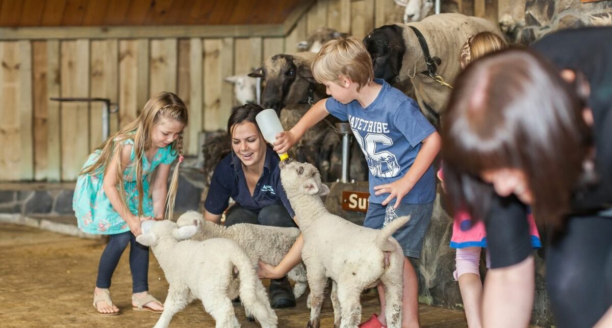 20 Best Things to Do on the North Island with Kids
