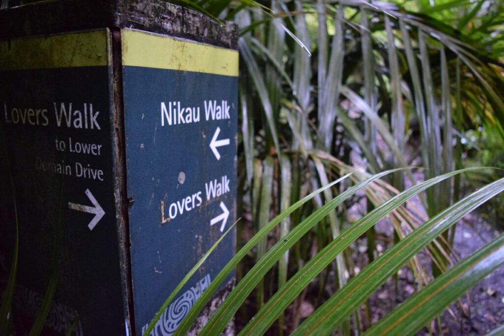 10 Best Walks in Auckland