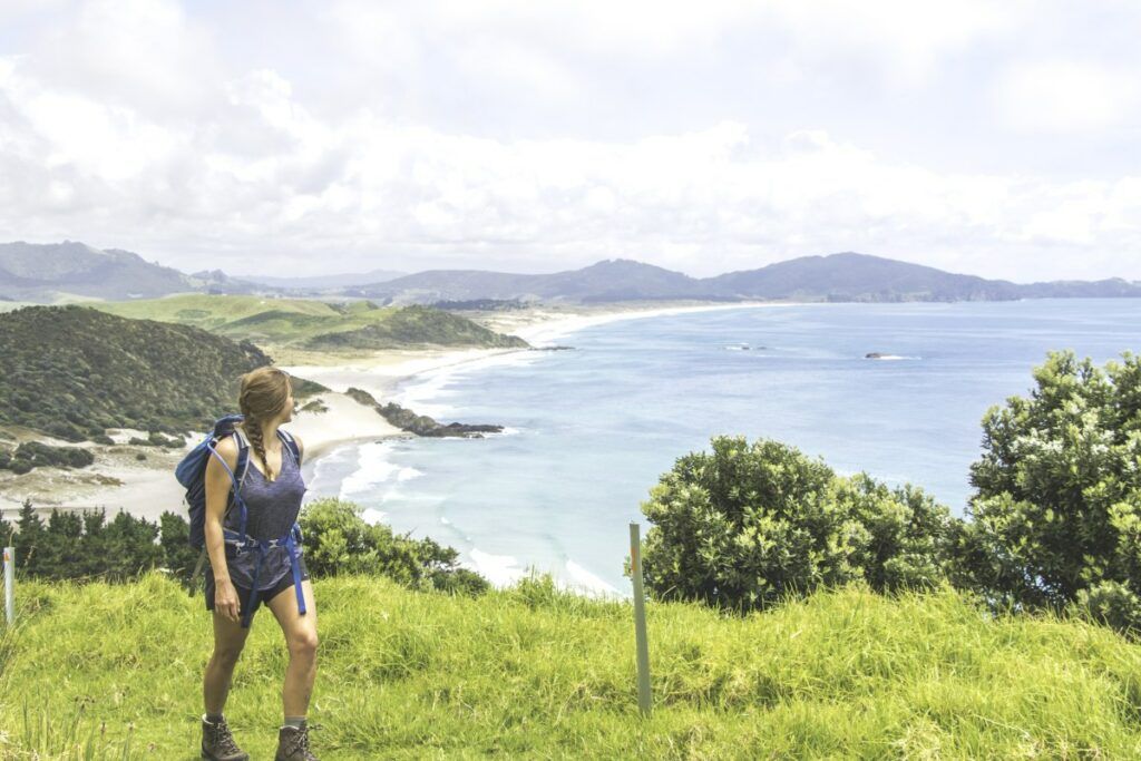 The Top 50 North Island Walks