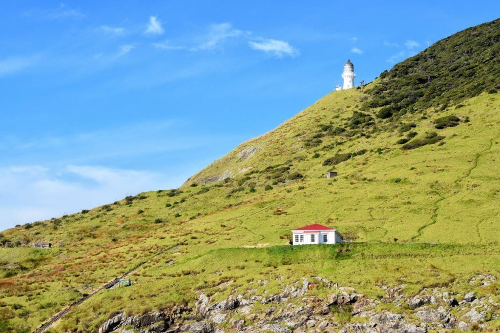 The Top 50 North Island Walks