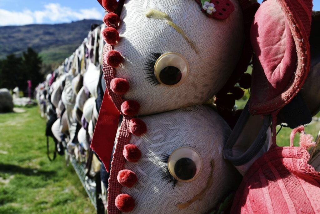 10 Unique & Unusual Things to Do on the South Island