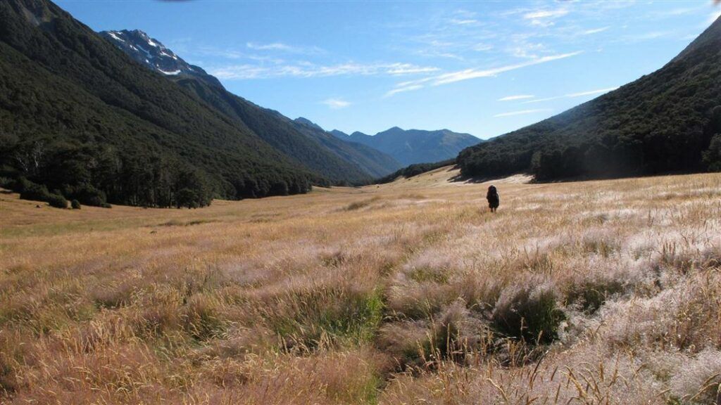 The Top 50 South Island Walks