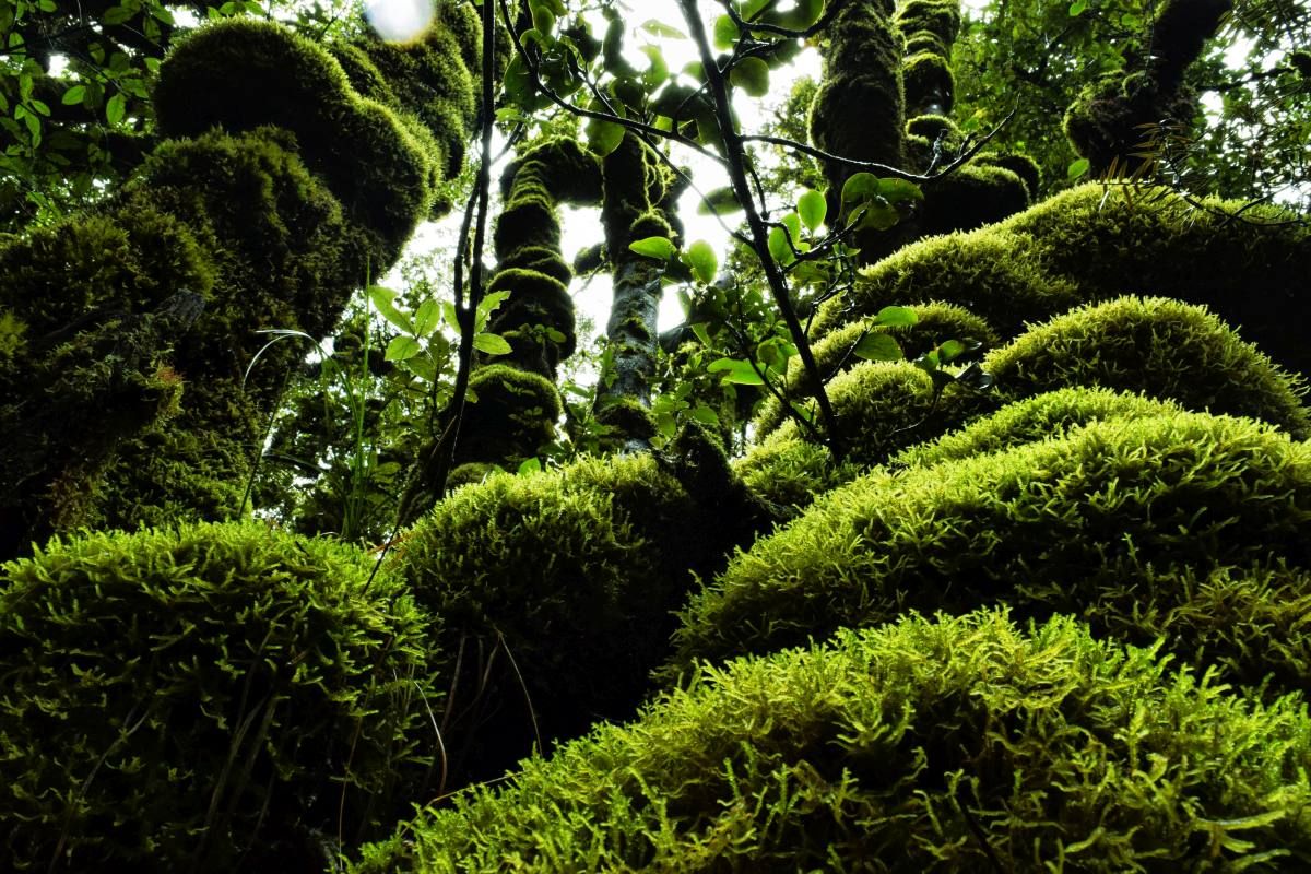 10 Best Things to Do in Egmont National Park