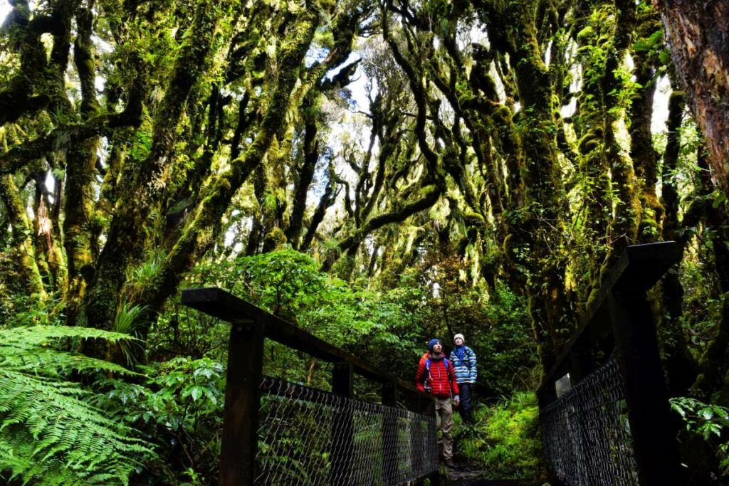 10 Best Things to Do in Egmont National Park