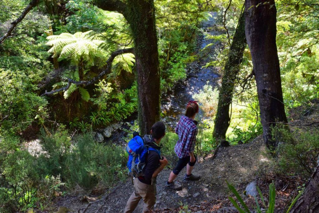 The Top 50 North Island Walks