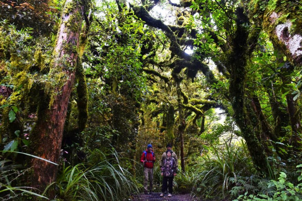 The Top 50 North Island Walks