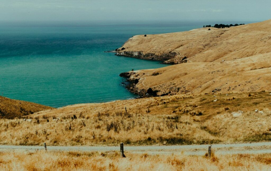 Christchurch Weather & Climate: What is the Weather Like in Christchurch?