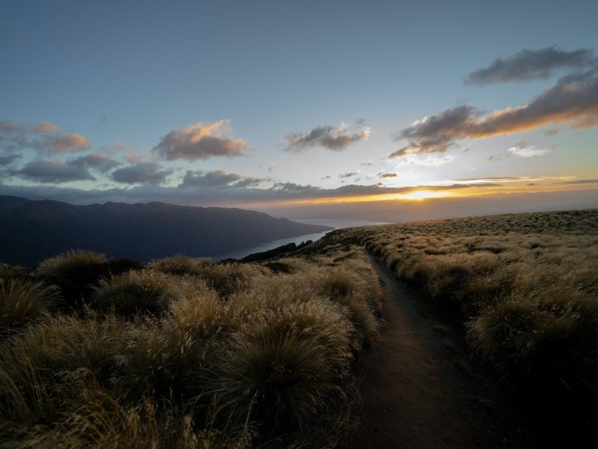 10 Must-Know Hiking Tips for New Zealand