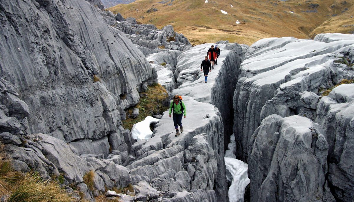 10 Best Things to Do in Kahurangi National Park