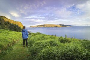 The Travel Guide to New Zealand on a Budget