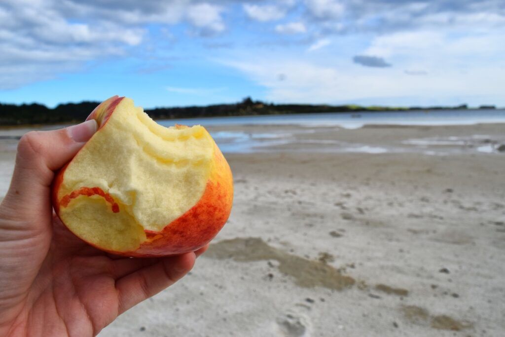 Ways to Handle the Long Drives in New Zealand