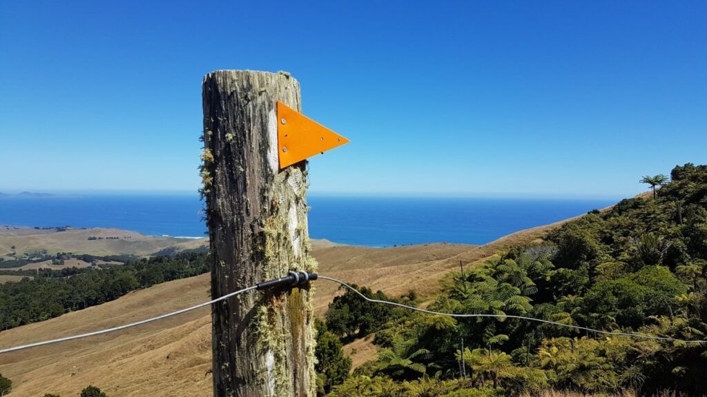 The Top 50 North Island Walks