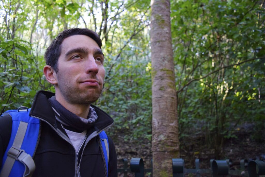 10 Best Kauri Forests in New Zealand