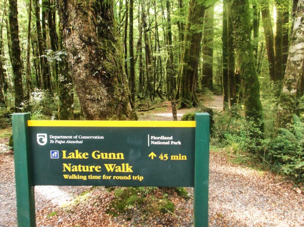 20 Best Short Walks on the South Island