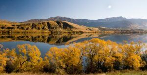 10 Best Walks in Queenstown