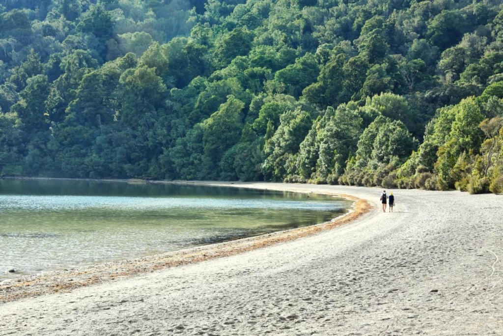 The Top 50 North Island Walks