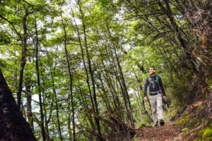 The Top 50 Hikes in New Zealand