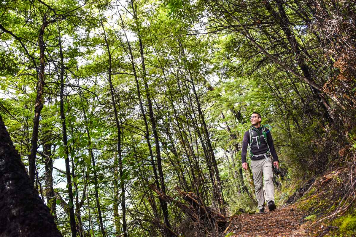 The Top 50 Hikes in New Zealand