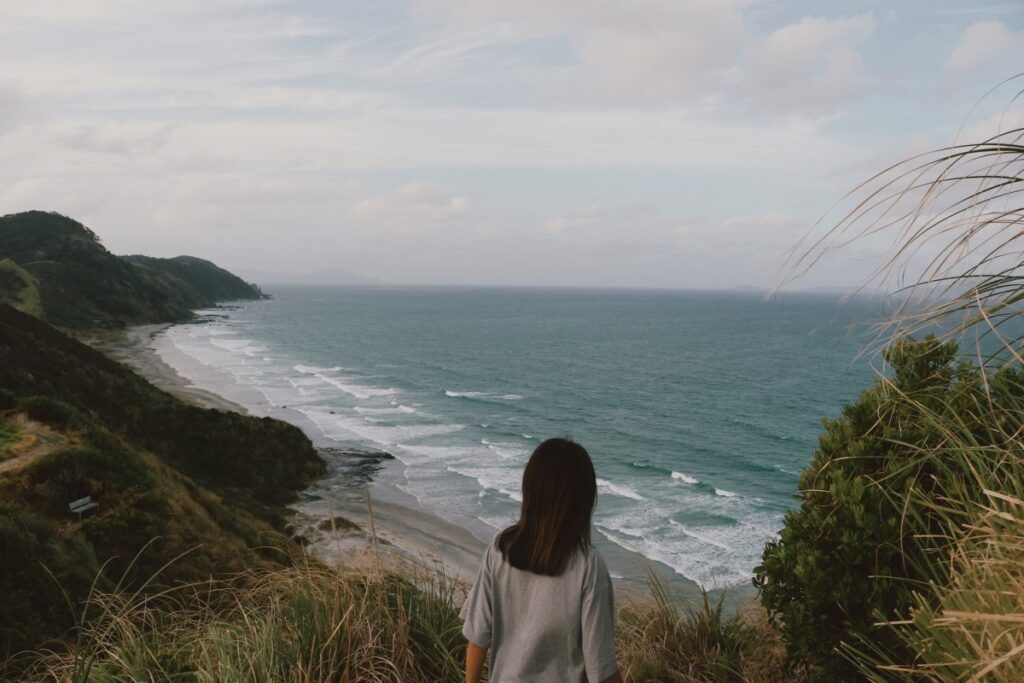 The Top 50 North Island Walks