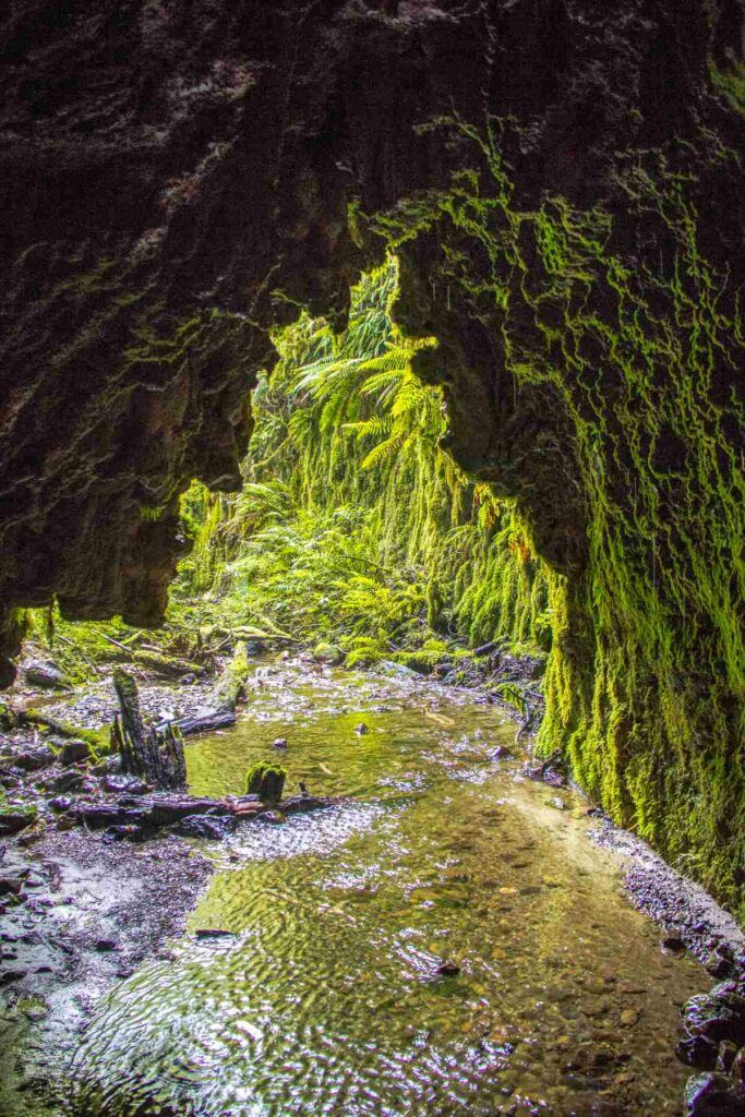 20 Best Short Walks on the North Island