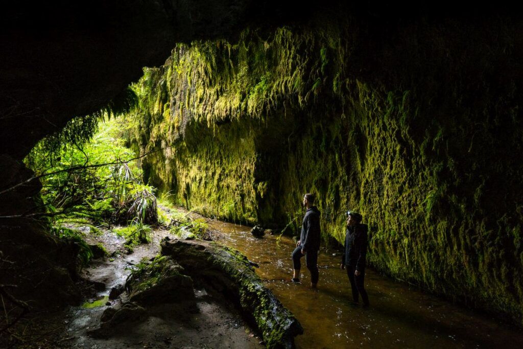 The Top 50 North Island Walks