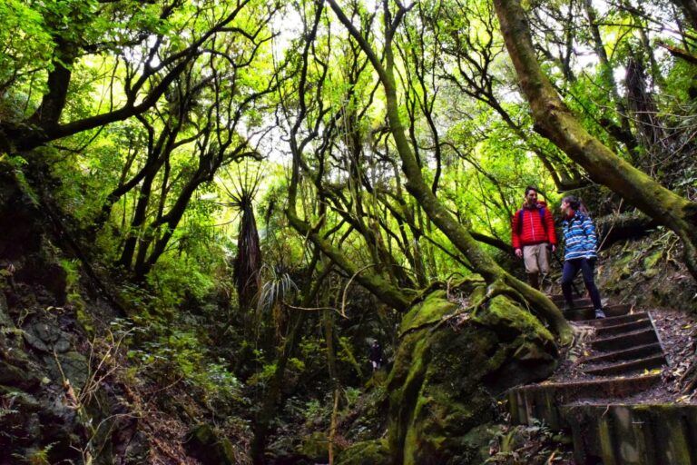 The Top 50 North Island Walks