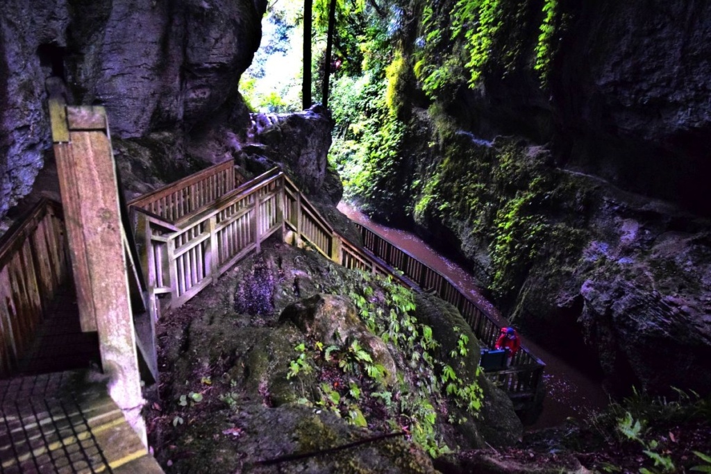 The Top 50 North Island Walks