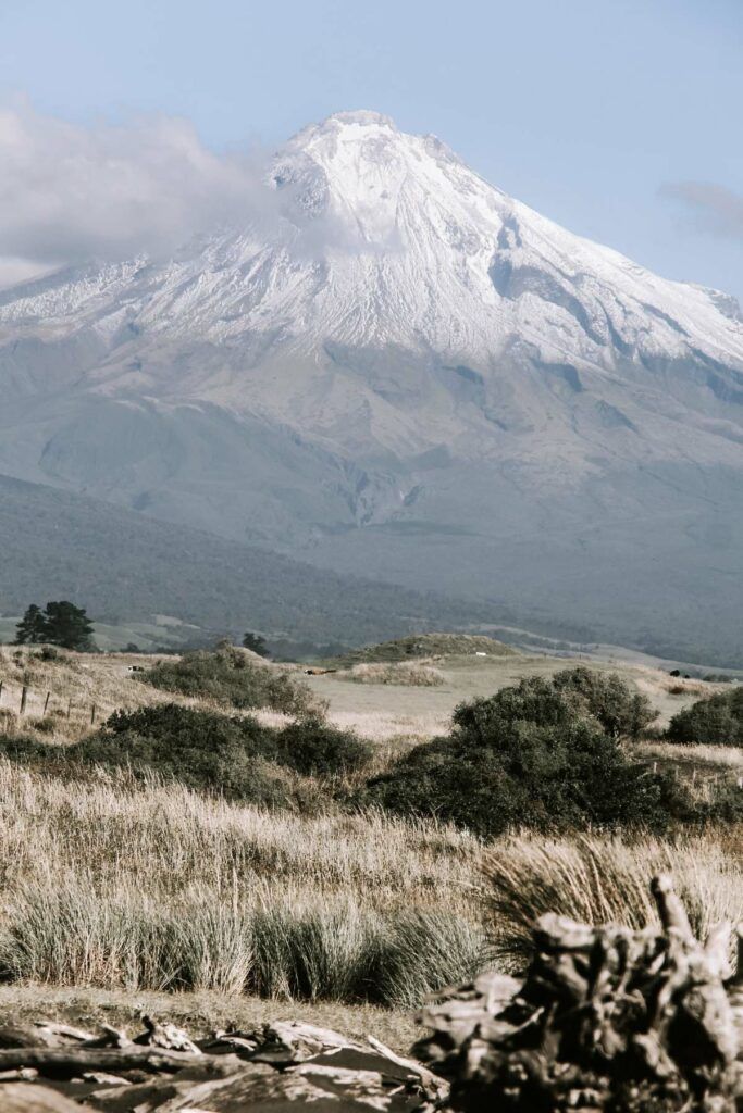 10 Best Things to Do in Egmont National Park