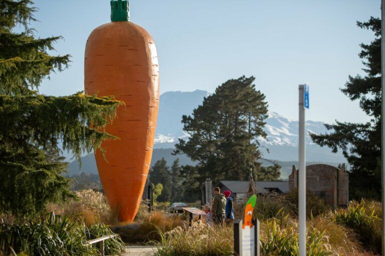 10 Unique & Unusual Things to Do on the North Island